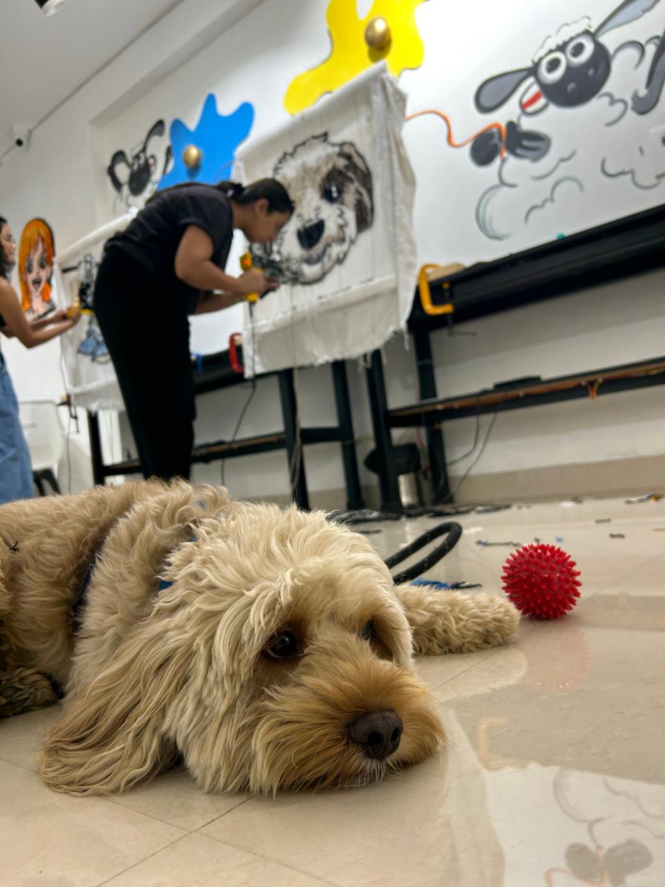 Tuft with Your Pet 🐾