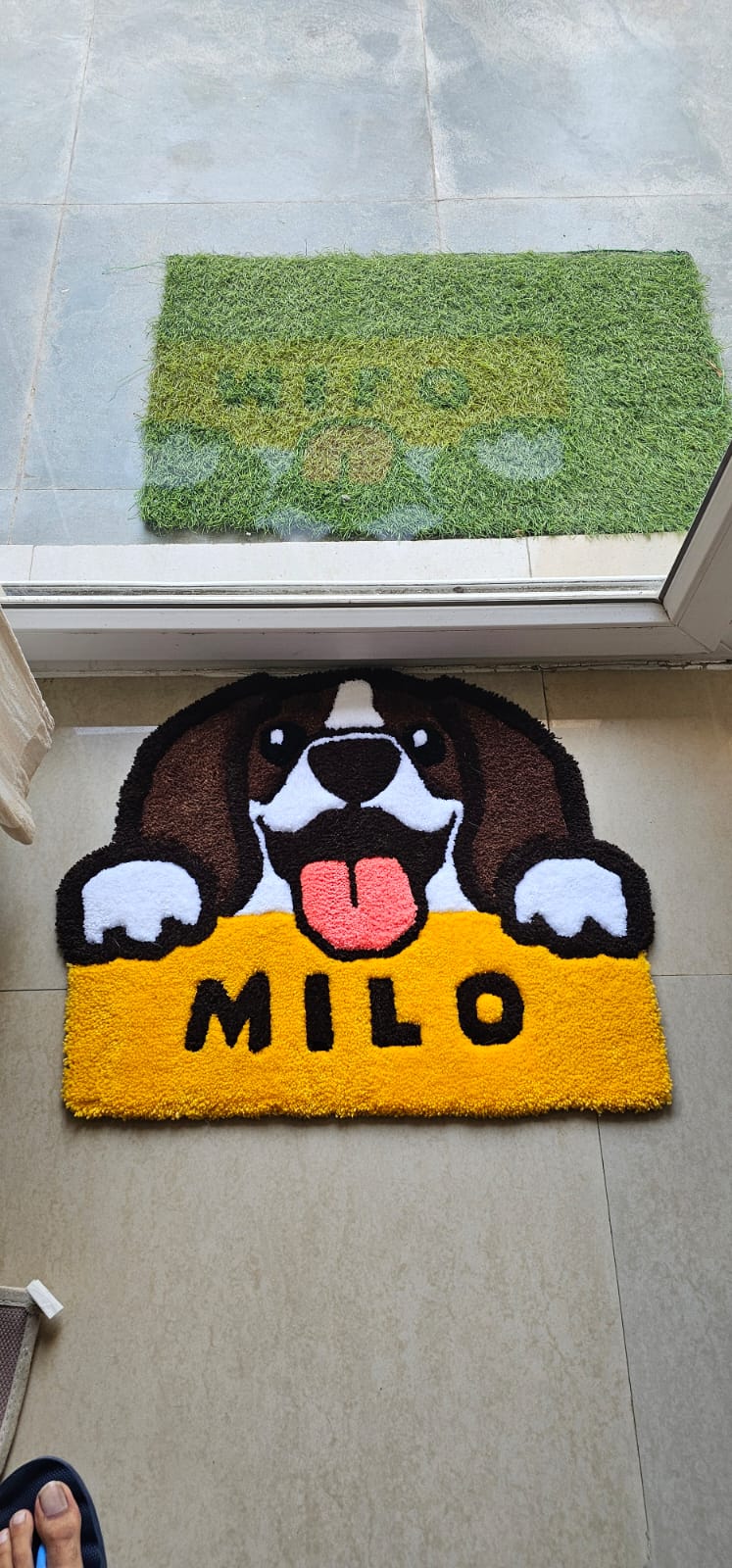 Tuft with Your Pet 🐾