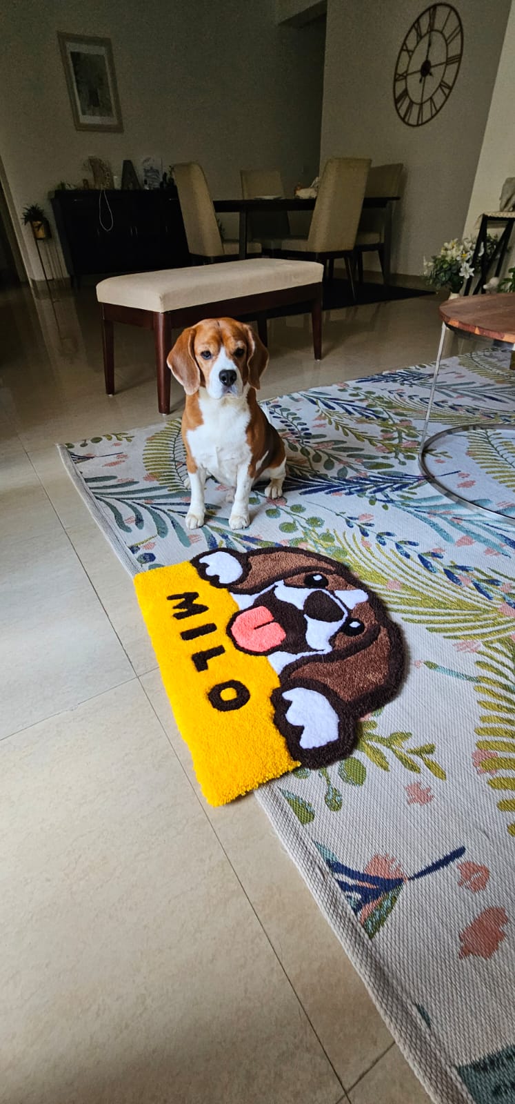 Tuft with Your Pet 🐾